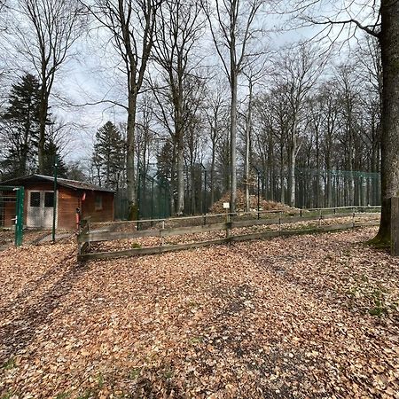 Hochwald Lodge Морбах Екстер'єр фото